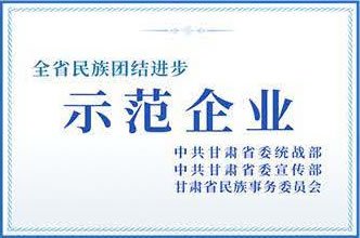 全省民族团结进步示范企业