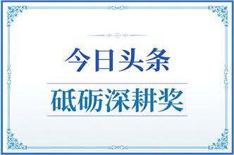 今日头条砥砺深耕奖